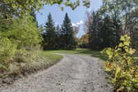 Autumn Landscape in Toronto, Ontario, Canada