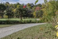 Autumn Landscape in Toronto, Ontario, Canada