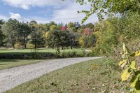 Autumn Landscape in Toronto, Ontario, Canada