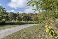 Autumn Landscape in Toronto, Ontario, Canada