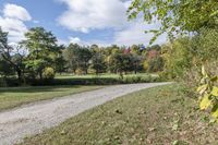 Autumn Landscape in Toronto, Ontario, Canada