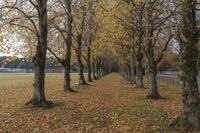 Autumn Landscape with Trees and Incidental People