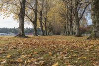 Autumn Landscape with Trees and Incidental People