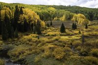 Autumn Landscape View in Crested Butte, Colorado