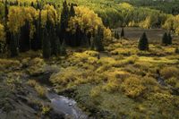 Autumn Landscape View in Crested Butte, Colorado