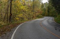 an empty country road with yellow lines passing through it in autumn leaves surrounding the trees