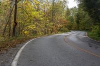 an empty country road with yellow lines passing through it in autumn leaves surrounding the trees