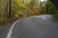 an empty country road with yellow lines passing through it in autumn leaves surrounding the trees