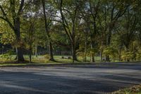 Autumn Park in Toronto, Canada