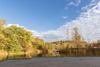 Autumn Park in Toronto, Ontario, Canada