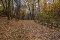 an old wooden fenced path surrounded by trees in autumn time with lots of yellow leaves scattered on the ground