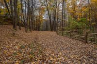 an old wooden fenced path surrounded by trees in autumn time with lots of yellow leaves scattered on the ground