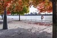 trees with orange, red, yellow and green leaves in fall on the walkway by water