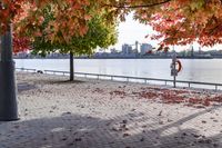 trees with orange, red, yellow and green leaves in fall on the walkway by water