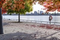 trees with orange, red, yellow and green leaves in fall on the walkway by water