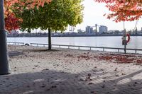 trees with orange, red, yellow and green leaves in fall on the walkway by water