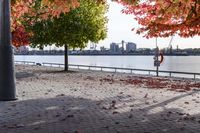 trees with orange, red, yellow and green leaves in fall on the walkway by water