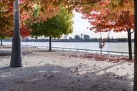 trees with orange, red, yellow and green leaves in fall on the walkway by water