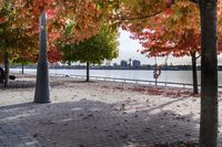 trees with orange, red, yellow and green leaves in fall on the walkway by water