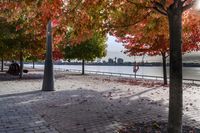 trees with orange, red, yellow and green leaves in fall on the walkway by water