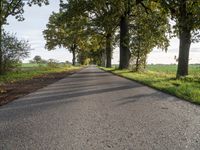 the road has a tree lined stretch with green leaves on it as well as grass and trees along the sides