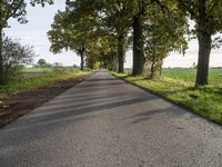 the road has a tree lined stretch with green leaves on it as well as grass and trees along the sides