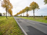 a country road with trees and grass on both sides of the road in autumn time