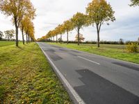 a country road with trees and grass on both sides of the road in autumn time