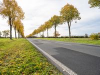 a country road with trees and grass on both sides of the road in autumn time