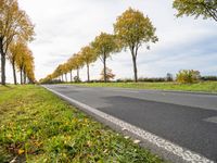 a country road with trees and grass on both sides of the road in autumn time