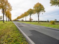 a country road with trees and grass on both sides of the road in autumn time