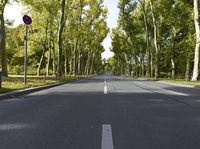 a lone, paved tree lined road in a green park with lush leaves on the ground