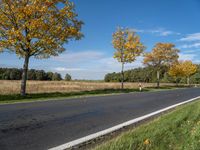 an empty road surrounded by autumn leaves, with several trees lining it's roadway