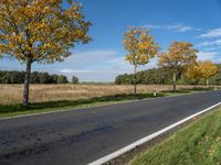 an empty road surrounded by autumn leaves, with several trees lining it's roadway