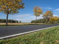 an empty road surrounded by autumn leaves, with several trees lining it's roadway