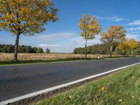 an empty road surrounded by autumn leaves, with several trees lining it's roadway