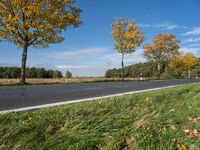 an empty road surrounded by autumn leaves, with several trees lining it's roadway