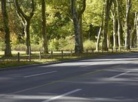 Autumn Road in Berlin with Yellow Leaves