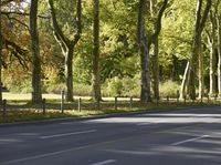 Autumn Road in Berlin with Yellow Leaves
