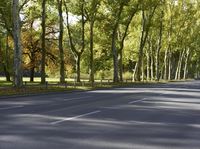 Autumn Road in Berlin with Yellow Leaves