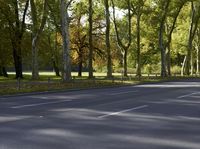 Autumn Road in Berlin with Yellow Leaves