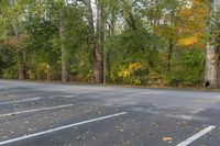 an empty parking lot near some woods and trees with fallen leaves on the ground of the car park