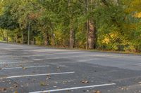 an empty parking lot near some woods and trees with fallen leaves on the ground of the car park