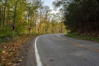 an empty road surrounded by autumn colored trees in the middle of the woods with leaves covering it