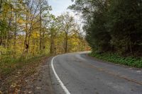 an empty road surrounded by autumn colored trees in the middle of the woods with leaves covering it