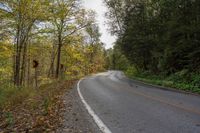 an empty road surrounded by autumn colored trees in the middle of the woods with leaves covering it