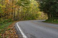 an empty road surrounded by autumn colored trees in the middle of the woods with leaves covering it