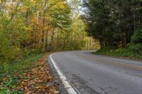 an empty road surrounded by autumn colored trees in the middle of the woods with leaves covering it