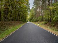 an empty road is shown in the middle of the woods with tall trees lining the path