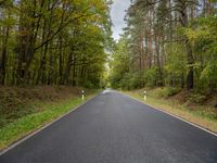 an empty road is shown in the middle of the woods with tall trees lining the path